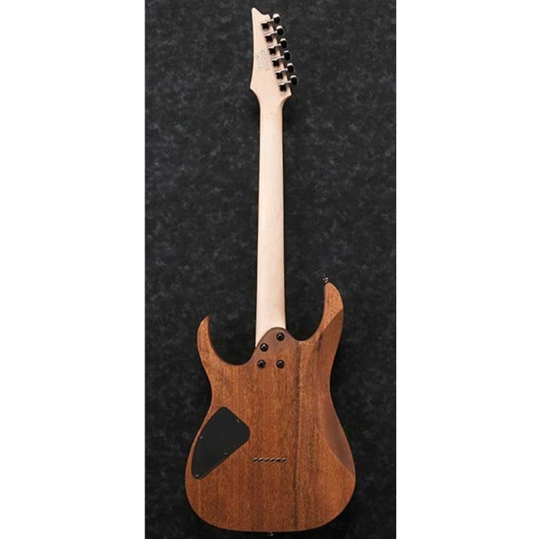 Ibanez RG421 Electric Guitar - Mahogany Oil