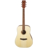 Ibanez PF10 OPN Performance Series Dreadnought body Acoustic Guitar with Gig Bag