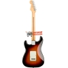 Fender Player Stratocaster Pau Ferro Fingerboard SSS 3TS 0144503500 Electric Guitar with Gig Bag