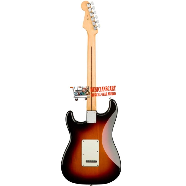 Fender Player Stratocaster Pau Ferro Fingerboard SSS 3TS 0144503500 Electric Guitar with Gig Bag