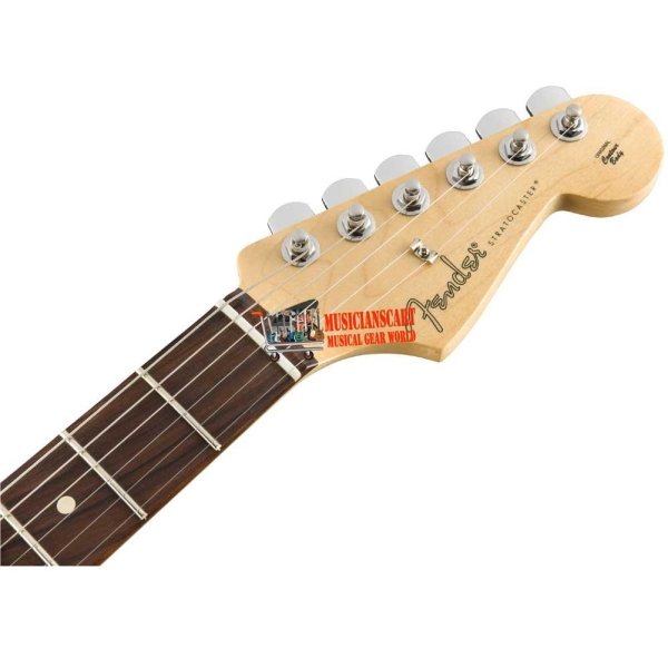 Fender Player Stratocaster Pau Ferro SSS Fingerboard Neck