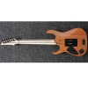 Ibanez RG5120M FCN RG Prestige 6 String Electric Guitar with Hardshell