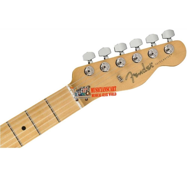 Fender Player Telecaster Maple Fingerboard SS Electric Guitar Neck