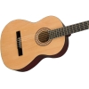 Fender SA-150N Nat Dreadnought Classsical Acoustic Guitar with Gig Bag Natural 0961091021