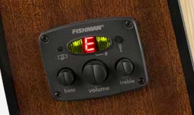 FISHMAN-PREAMP-AND-TUNER