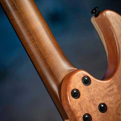 5pcs Maple & Walnut Neck