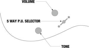 5 Way Pu Selector