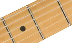 Player Plus SSS 12-RADIUS-FINGERBOARD-WITH-
