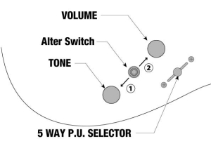 5 way Pu Alter Switch