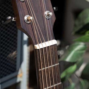 Genuine Bone Nut & Saddle