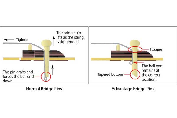 Ibanez Advantage™ bridge pins