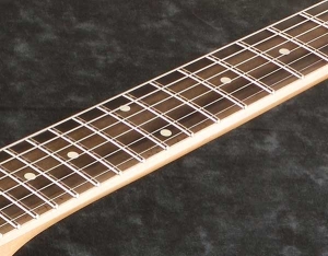 Macassar Ebony fretboard