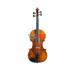 Suzuki NS20FE 4/4 Size Violin Traditional Student Model with Hardcase