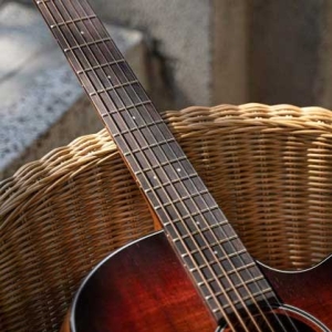 Ovangkol Fretboard with Mahogany Neck