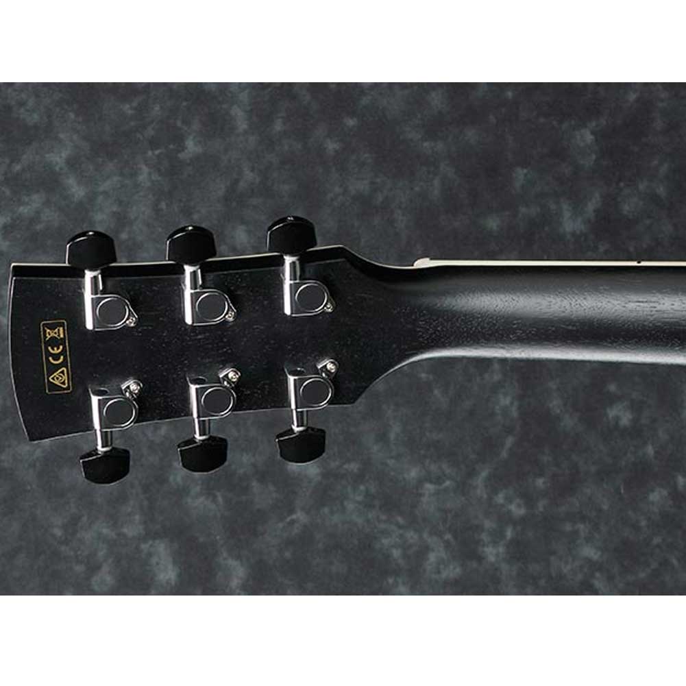 Ibanez AW84ECE WK Artwood Cutaway Dreadnought body AEQ-TP2