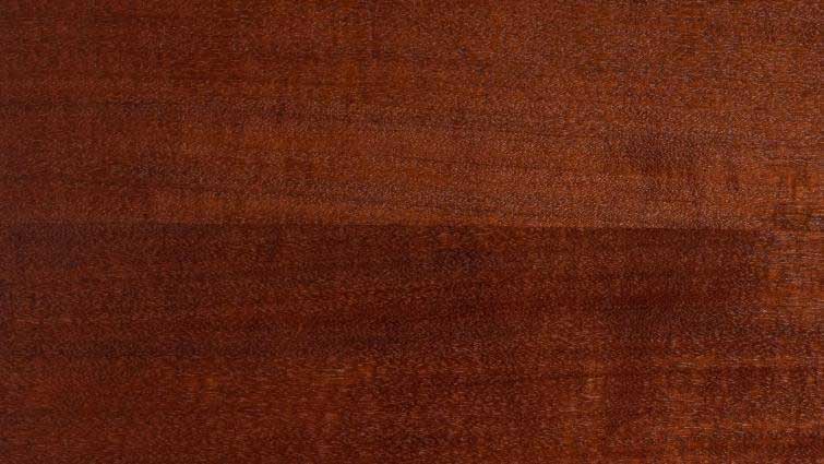 Tropical-Mahogany