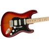 Fender Player Plus Top Stratocaster Maple Fingerboard HSS Electric Guitar with Gig bag Aged Cherry Burst 0144562531