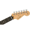 Fender Player Limited Edition Stratocaster Ebony Fingerboard SSS Electric Guitar Neck