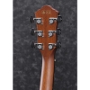 Ibanez AEWC11 TCB Aewc Series Walnut fretboard Cutaway Electro Acoustic Guitar with Gig Bag