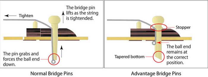 Ibanez Advantage bridge pins