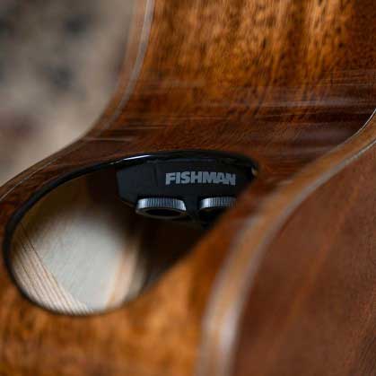 Fishman® Matrix Infinity