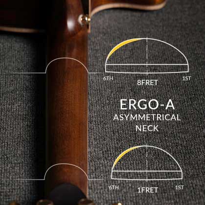 Ergo-A Asymmetric Neck Profile