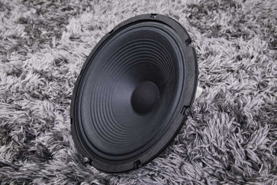 Custom DK10 Speaker