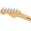 Fender Player Stratocaster Maple Fingerboard SSS Electric Guitar Neck.