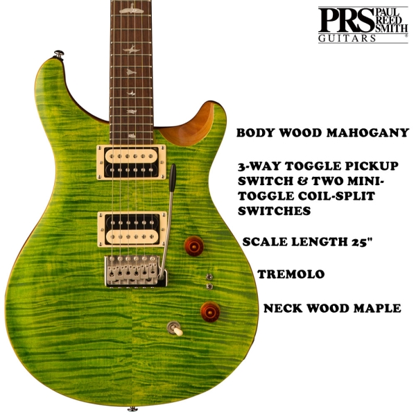 PRS SE Custom 24-08