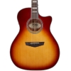 D`Angelico Premier Gramercy Iced Tea Burst Grand Auditorium Single Cutaway Electro Acoustic Guitar DAPG200ITBAPS D`Angelico Premier Gramercy Iced Tea Burst Grand Auditorium Single Cutaway Electro Acoustic Guitar DAPG200ITBAPS