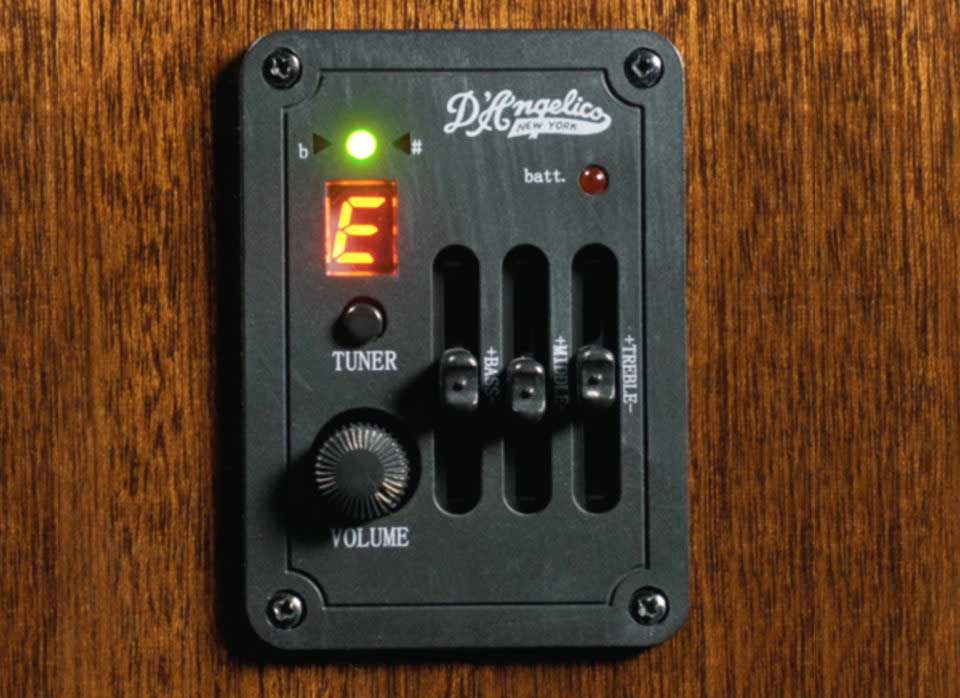 DAPG200ITBAPS-D'Angelico Preamp and Tuner