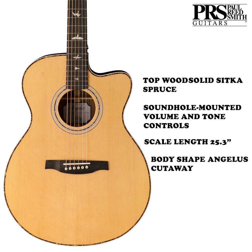 Fishman gt1 new arrivals