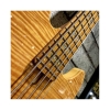 Sire Marcus Miller V10 Swamp Natural 5 String 2nd Gen Bass Guitar with Gig Bag