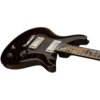 PRS Private Stock 40th Anniversary Dragon Electric Guitar with ATA Multi-Fit Molded Case PRS Private Stock 40th Anniversary Dragon Electric Guitar with ATA Multi-Fit Molded Case