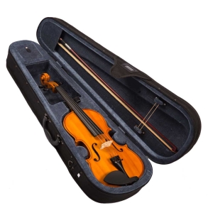 Valencia V160 Violin Outfit with Bow Rosin & Case