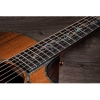 Taylor PS14ce Honduran Rosewood/Sinker Redwood Grand Auditorium Venetian Cutaway Expression System 2 Electronics Electro Acoustic Guitar With Taylor Deluxe Hardshell Brown Case