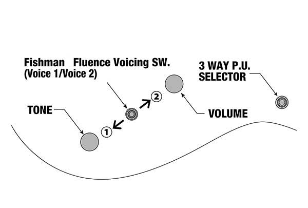 3way pu Fishaman Fluence 