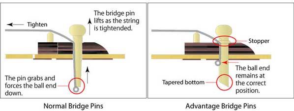 Bridge-Pins