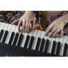 Alesis Recital Pro 88-key Hammer Action Digital Piano