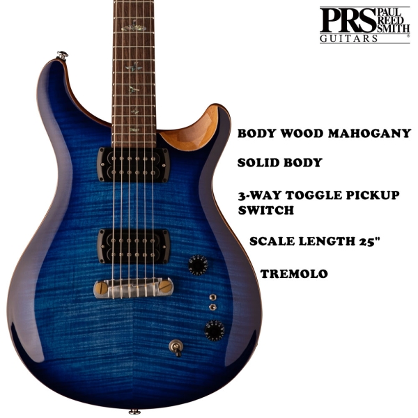 PRS SE Paul Guitar Rosewood Fingerboard Electric Guitar 6 String with Gig Bag