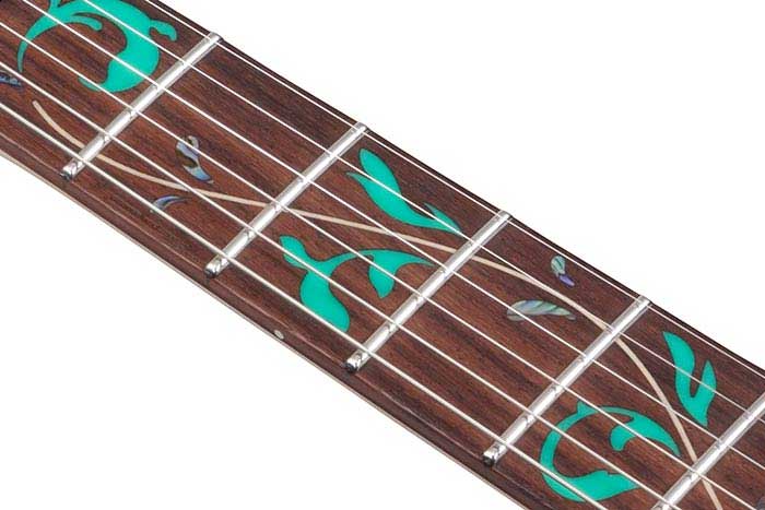 Rosewood fretboard