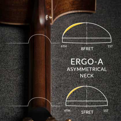 Ergo-A Asymmetric Neck Profile