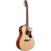 Ibanez AAM50CE OPN Advanced Acoustic Series Auditorium Cutaway body Electro Acoustic Guitar with Gig Bag Ibanez AAM50CE OPN Advanced Acoustic Series Auditorium Cutaway body Electro Acoustic Guitar with Gig Bag