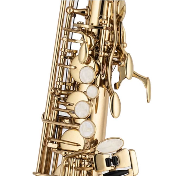 Chateau CAS-21L Alto Lacquer Saxophone with Strap and Case