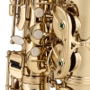 Chateau CAS-21L Alto Lacquer Saxophone with Strap and Case
