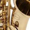 Chateau CAS-21L Alto Lacquer Saxophone with Strap and Case