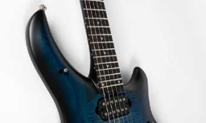 EBONY FRETBOARD WITH MAJESTY SHIELD INLAYS