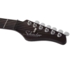 Schecter Nick Johnston Traditional HSS 10th Anniversary Schecter Nick Johnston Traditional HSS 10th Anniversary