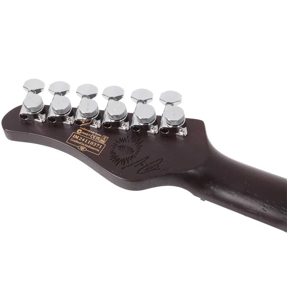 Schecter Nick Johnston Traditional HSS 10th Anniversary Schecter Nick Johnston Traditional HSS 10th Anniversary