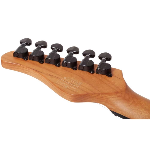 Schecter PT Standard